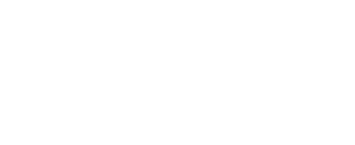 Havaya Summer Program Logo